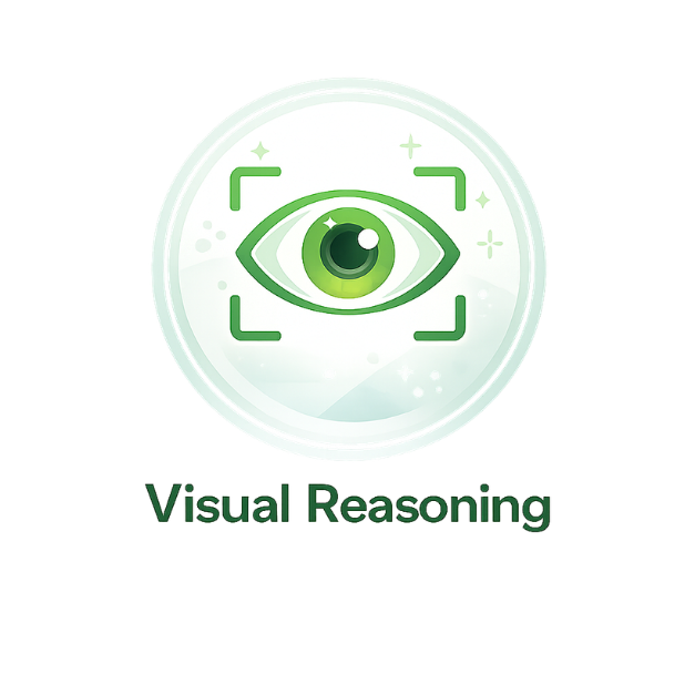 Visual Reasoning